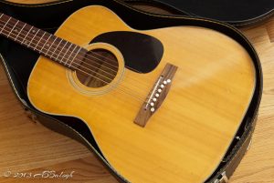 Lyle C-600 Acoustic Guitar